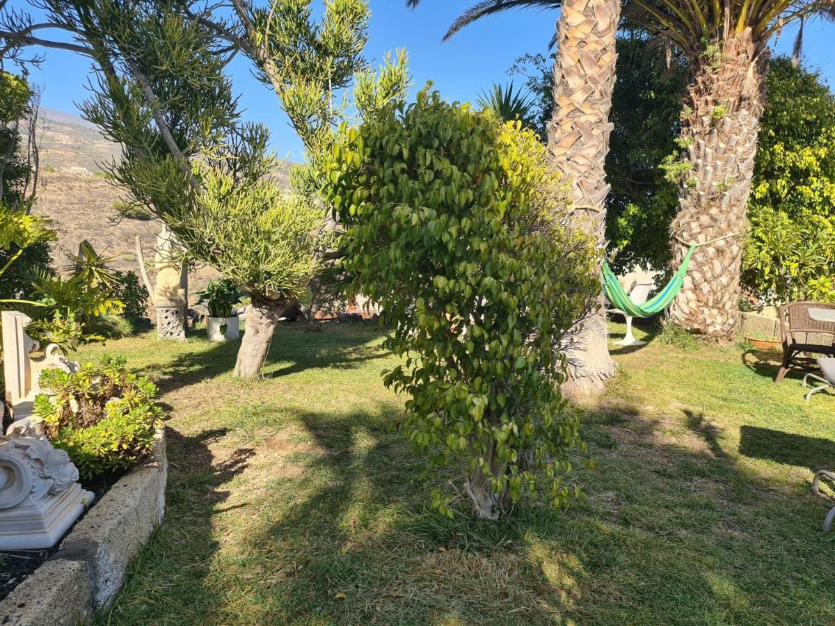 Finca Tropical Arico Viejo المظهر الخارجي الصورة