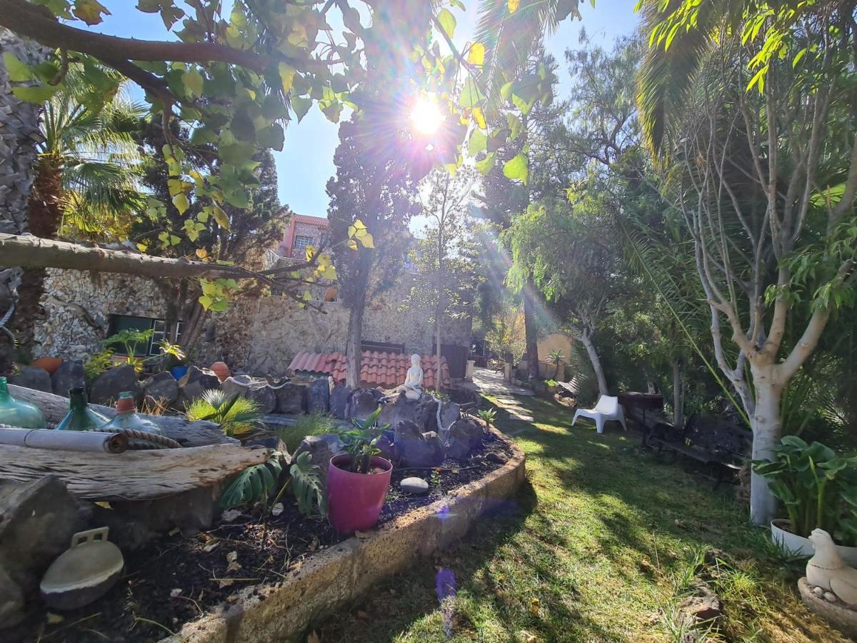 Finca Tropical Arico Viejo المظهر الخارجي الصورة