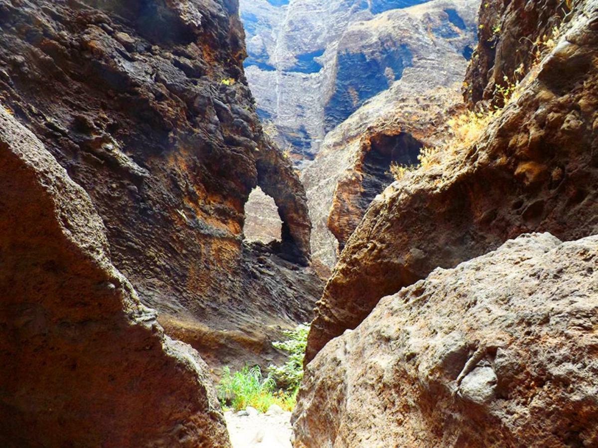 Finca Tropical Arico Viejo المظهر الخارجي الصورة