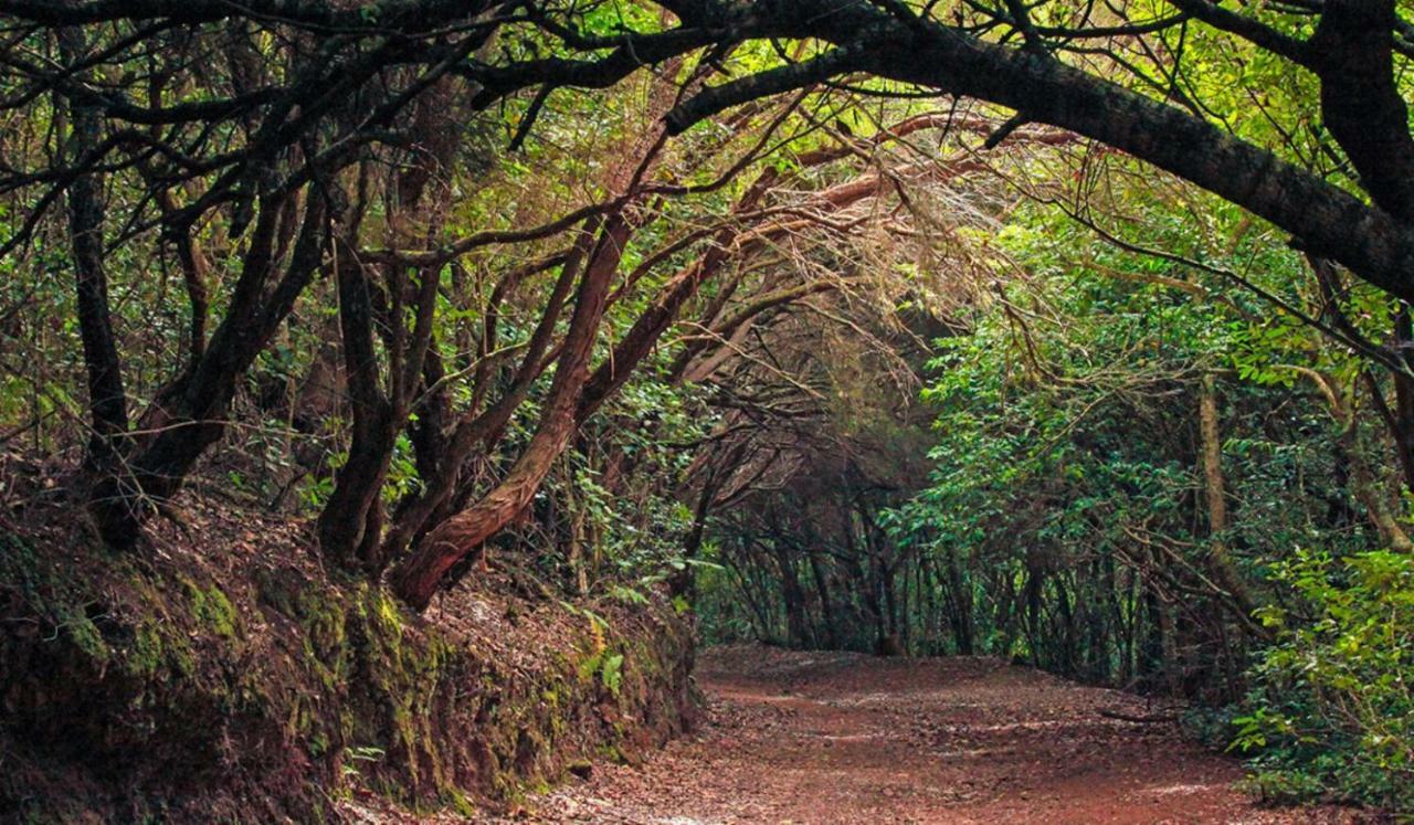 Finca Tropical Arico Viejo المظهر الخارجي الصورة